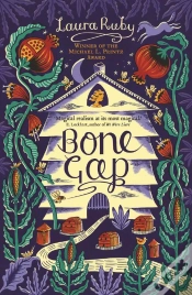Capa do artigo Bone Gap