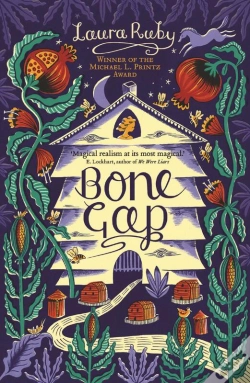 Capa do artigo Bone Gap