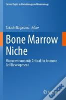 Bone Marrow Niche