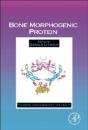 Bone Morphogenic Protein - Preview