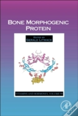 Capa do artigo Bone Morphogenic Protein