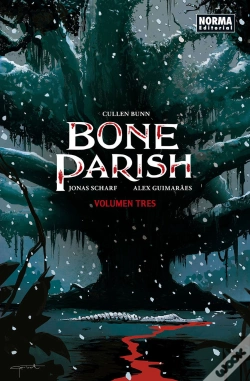 Capa do artigo Bone Parish 3