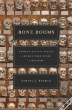 Capa do artigo Bone Rooms