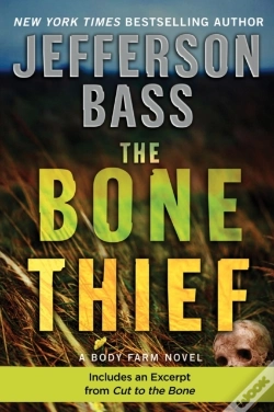 Capa do artigo Bone Thief