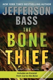 Capa do artigo Bone Thief