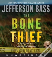 Capa do artigo Bone Thief