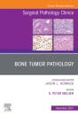Bone Tumor Pathology, An Issue Of Surgical Pathology Clinics - Preview