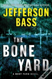 Capa do artigo Bone Yard