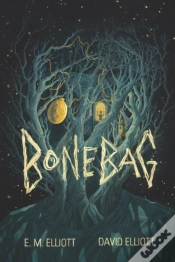 Capa do artigo Bonebag