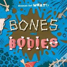 Bones And Bodies