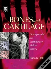 Capa do artigo Bones And Cartilage