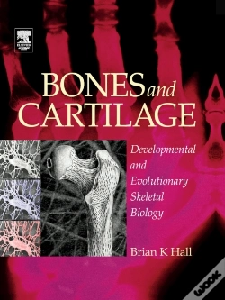 Capa do artigo Bones And Cartilage