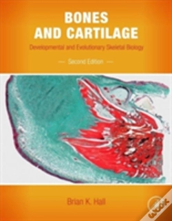 Capa do artigo Bones And Cartilage