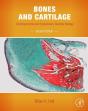 Bones And Cartilage - Preview