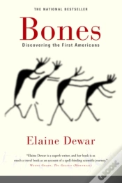 Capa do artigo Bones