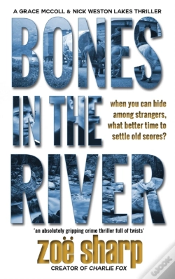 Capa do artigo Bones In The River