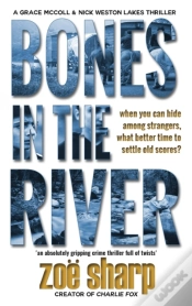 Capa do artigo Bones In The River