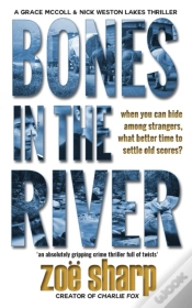 Capa do artigo Bones In The River