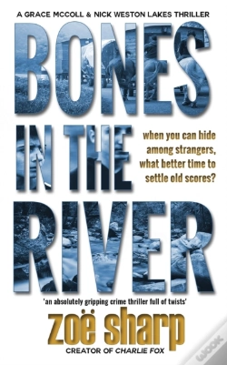 Capa do artigo Bones In The River