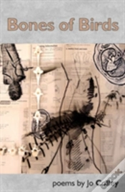 Capa do artigo Bones Of Birds