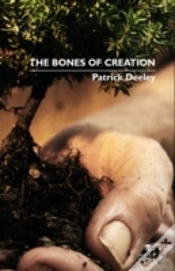 Capa do artigo Bones Of Creation