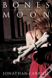 Capa do artigo Bones Of The Moon