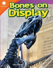 Bones On Display