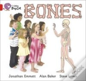 Capa do artigo Bones