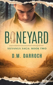 Capa do artigo Boneyard