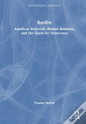 Capa do artigo Bonfire