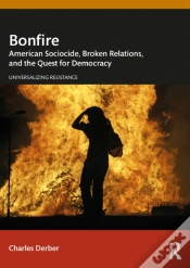 Capa do artigo Bonfire