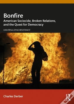 Capa do artigo Bonfire