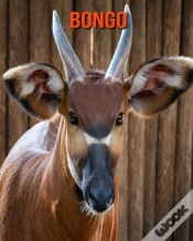 Capa do artigo Bongo