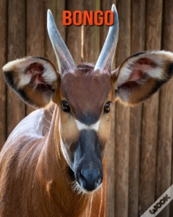 Capa do artigo Bongo