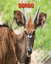 Bongo