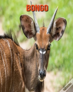 Capa do artigo Bongo