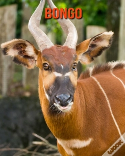 Capa do artigo Bongo