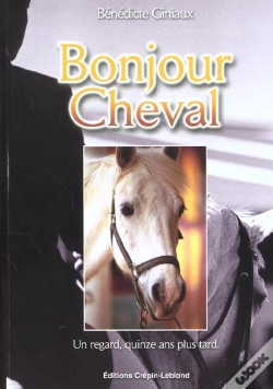 Capa do artigo Bonjour Cheval ; Un Regard Quinze Ans Plus Tard