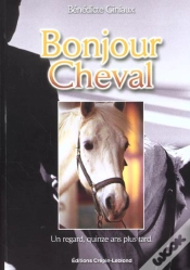 Capa do artigo Bonjour Cheval ; Un Regard Quinze Ans Plus Tard