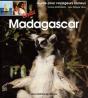 Bonjour Madagascar - Preview