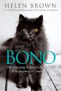 Bono - Preview