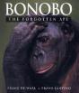 Bonobo - Preview