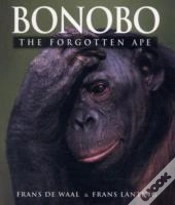 Capa do artigo Bonobo