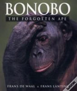 Capa do artigo Bonobo