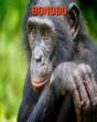 Bonobo - Preview