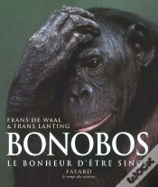 Capa do artigo Bonobos ; Le Bonheur D