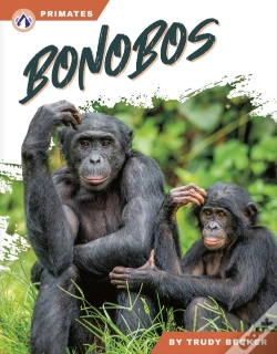 Capa do artigo Bonobos