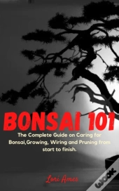 Bonsai 101