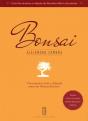 Bonsai - Preview