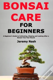 Capa do artigo Bonsai Care For Beginners: A Beginner